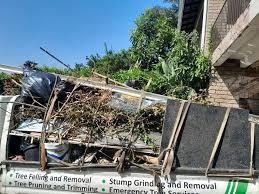 Trusted Meadow Lake, NM Junk Removal Services Experts
