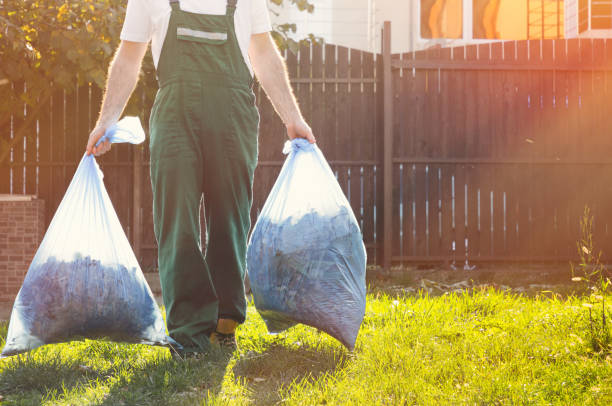 Best Demolition Debris Removal  in Meadow Lake, NM